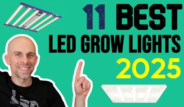 11 Best LED Grow Lights 2025