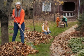 Fall Cleanup.