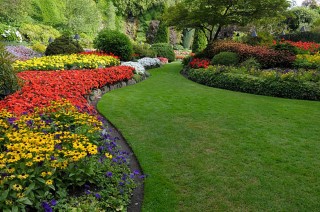 Garden Layout.